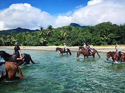 Cape Tribulation Horse Rides